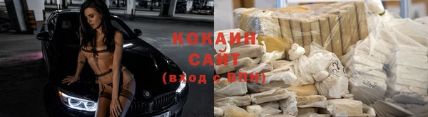 спайс Баксан