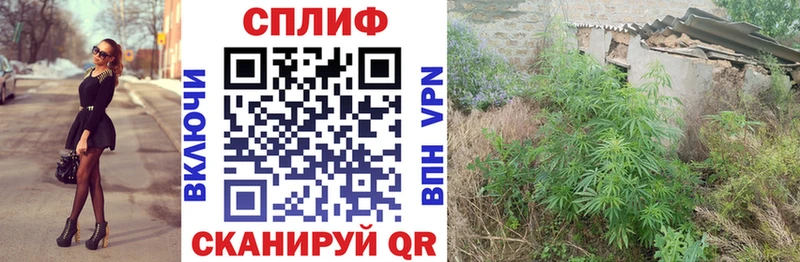Канабис ГИДРОПОН  Голицыно 